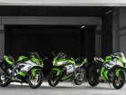 Kawasaki Ninja 300 300 Special Edition